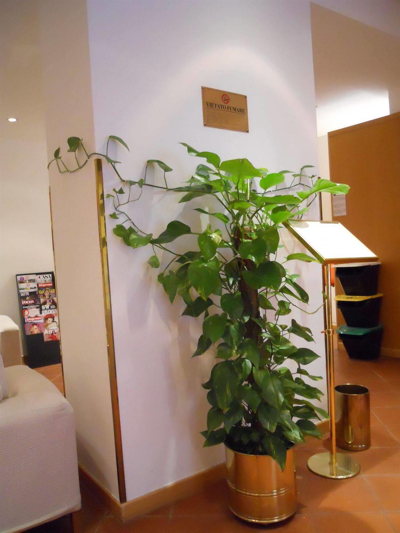 Albergo Italia อูร์บีโน ภายนอก รูปภาพ